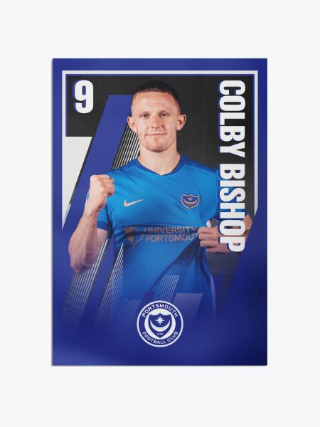 Picture of BISHOP A3 POSTER