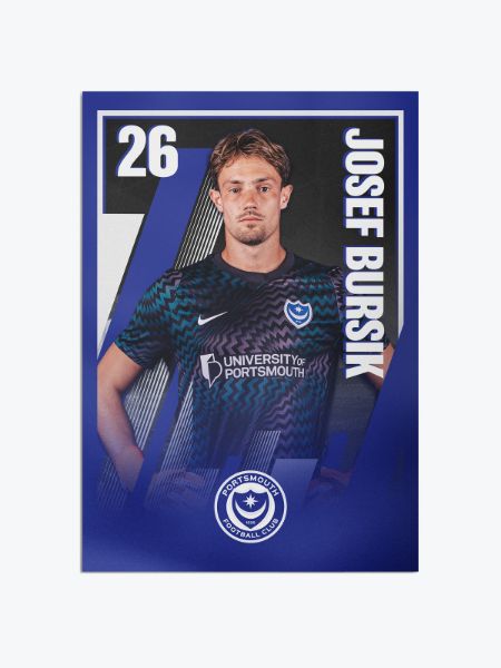 Picture of BURSIK A3 POSTER