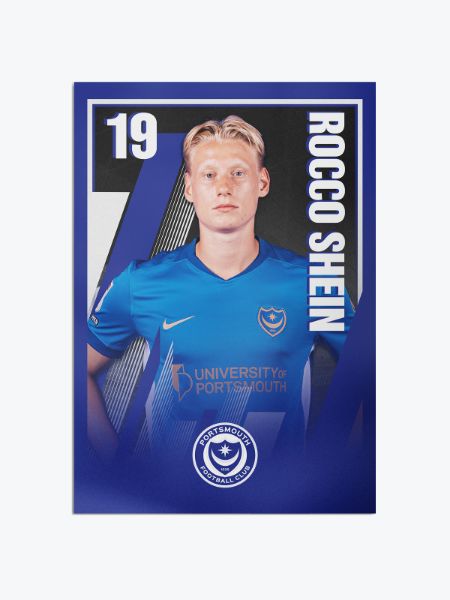 Picture of SHEIN A3 POSTER
