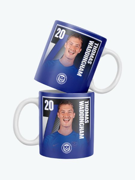 Picture of WADDINGHAM MUG
